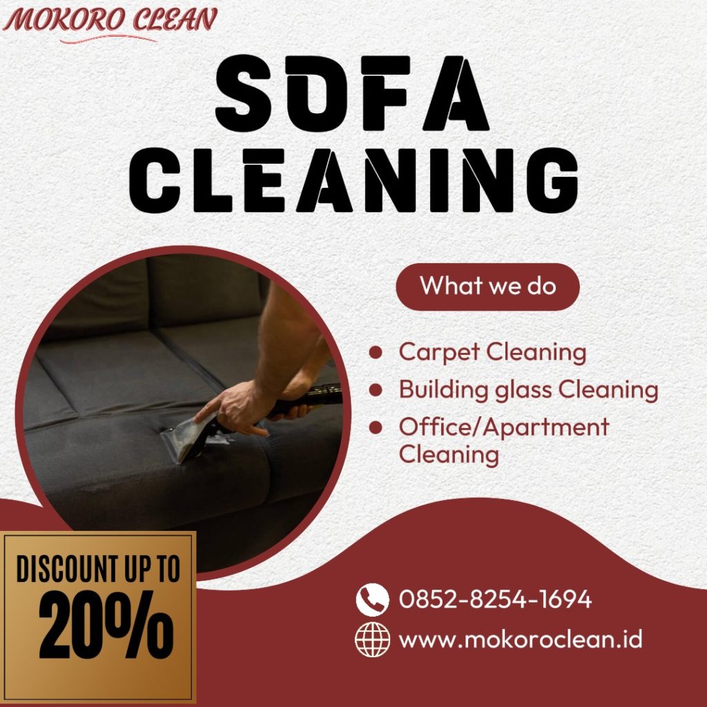 CLEANING SOFA